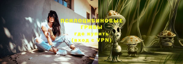стаф Алексеевка